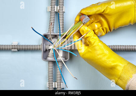 Electrician in protective yellow gloves uses spring terminals to bind wires together durind mounting electrical junction box. Stock Photo