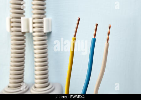 Installing surface mounted wiring for new junction box for electrical wires, close-up. Stock Photo