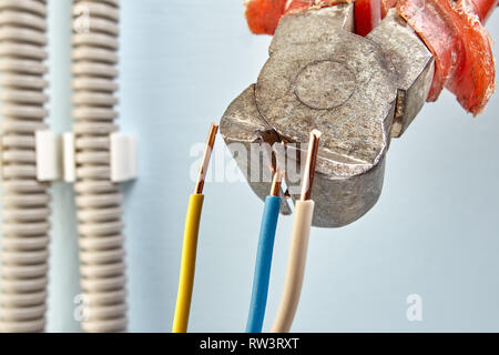 Cutting wires for new plastic junction box with help of cutting pliers. Stock Photo