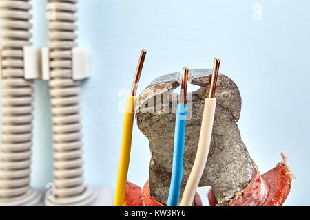 Electrician is mounting a new junction box for electrical wires with help of cutting pliers. Stock Photo
