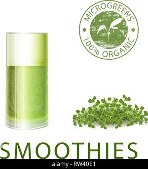 Set of healthy food microgreen. Fresh young shoots of various plants, microgreen smoothie, stamp for marking. Microgreen health food. Vegetarian food. Stock Vector