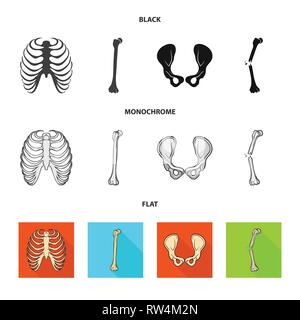 rib,hip,fracture,cage,broken,joint,pain,xray,fibula,pelvis,bias,body,shin,surgery,injury,spine,tibia,healthy,connective,sternum,femur,musculoskeletal,breastbone,leg,calcium,fiber,joints,scientific,muscle,medicine,clinic,biology,medical,bone,skeleton,anatomy,human,organs,set,vector,icon,illustration,isolated,collection,design,element,graphic,sign Vector Vectors , Stock Vector