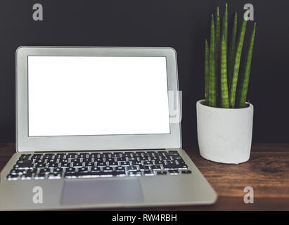 laptop computer with blank white display and potted succulent plant on wooden desk against dark background Stock Photo