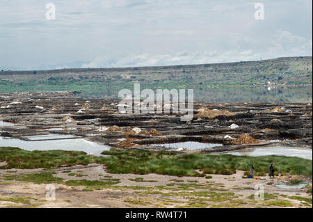 Salt mining at Katwe Crater Lake, Queen Elizabeth NP, Uganda Stock Photo