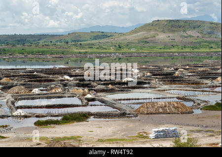 Salt mining at Katwe Crater Lake, Queen Elizabeth NP, Uganda Stock Photo