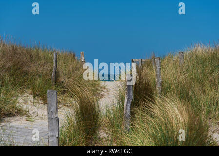 footpath between grass covered dunes against sea and blue sky Stock Photo