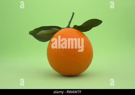 An orange with leaves freshly picked from the tree on light green background Stock Photo