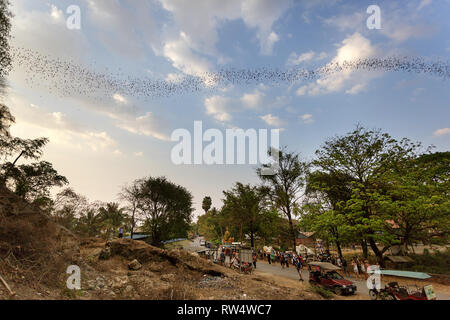 Tourists observing bats flying out of the Bat cave, Battambang, Cambodia Stock Photo