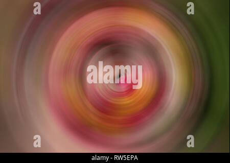 Abstract multicolored background. Close-up of circular or horizontal radial blur. Stock Photo