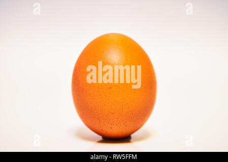 Orange Dark Color Chicken Egg Isolated on White Background Stock Photo