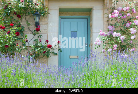 Bright blue wooden doors in an old traditional English lime stone cottage surrounded by climbing red and pink roses in bloom, with flowering purple la Stock Photo