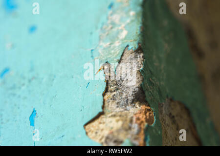 Peeling Blue Aquamarine Color Paint from Outer Corner of the Wall. Shattered Plaster Background. Abstract Blurry Backdrop Stock Photo