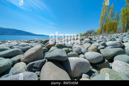 Stony lake edge of Lake Te Anau under clear blue sky with tall poplar trees completing scenic view in South Ilsand New Zealand. Stock Photo