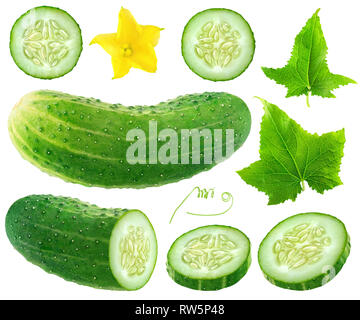 Isolated cucumber collection. Whole and cut cucumber, flower and leaves isolated on white background with clipping path Stock Photo