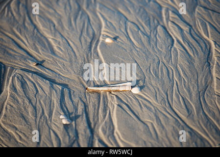 Sand beach resembling a tiny river delta system on a beach with mussel shells Stock Photo
