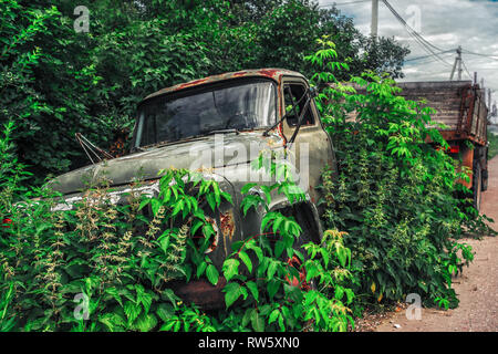 Junk yard vehicles showing old rusted truck in overgrown weedy area Stock Photo