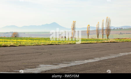 Simple minimal autumn landscape. Asphalt road, meadow, trees with few yellow laves, distant hazy mountain in background. Stock Photo