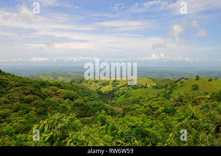Landscape of the cloud forest of Monteverde national park near the city of San Jose, Costa Rica, Central America. Stock Photo