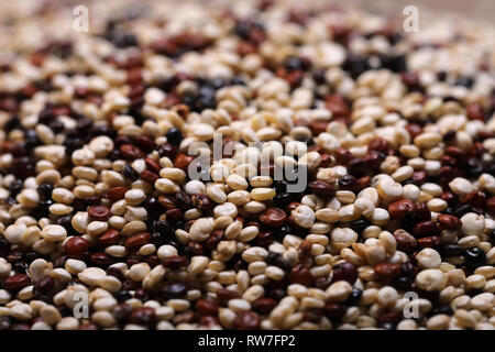 Quinoa three varieties mixture Stock Photo