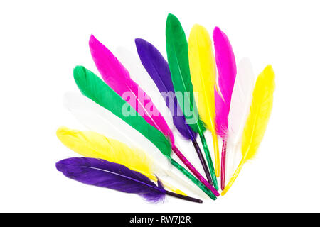 Colorful feathers isolated on white background Stock Photo