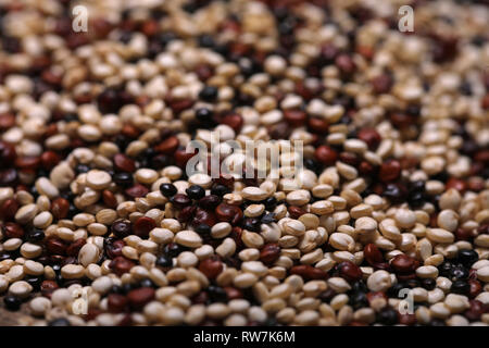 Quinoa three varieties mixture Stock Photo