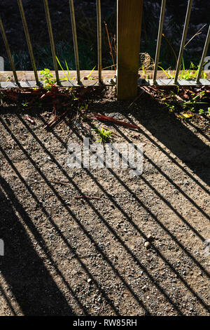 Interesting shadows made from sun rising on fence. Stock Photo