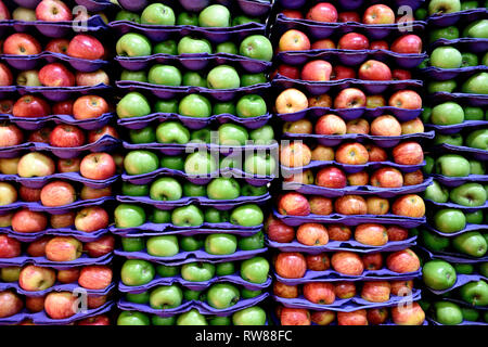 Stacks and rows of fresh ripe red and green apples in a farmers market in Colombia, South America Stock Photo