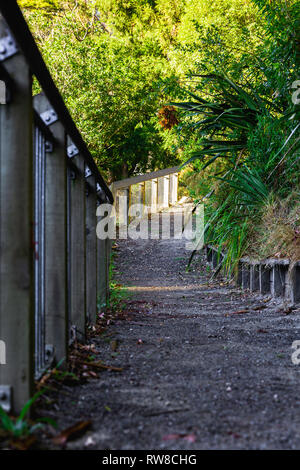 Dirt pathway leads around a corner and sun shines on bright green trees. Stock Photo