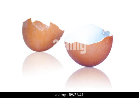 Broken brown egg shells with reflections isolated on white background. Stock Photo