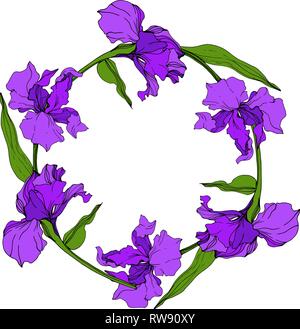 Iris Flower Outline Banner Wreath. Vector Illustration Stock Vector ...