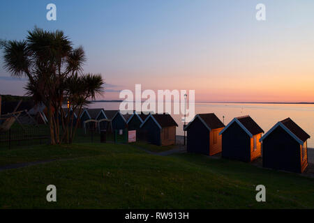 sunset, palm,tree, beach,huts, sea, the,green, Gurnard, Isle of Wight, England, UK, Stock Photo