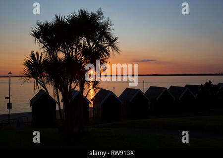 sunset, palm,tree, beach,huts, sea, the,green, Gurnard, Isle of Wight, England, UK, Stock Photo