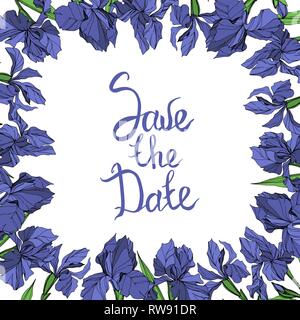 Vector Blue iris floral botanical flower on white background. Wild spring leaf wildflower isolated. Blue and green engraved ink art. Frame border orna Stock Vector