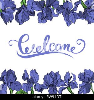 Vector Blue iris floral botanical flower on white background. Wild spring leaf wildflower isolated. Blue and green engraved ink art. Frame border orna Stock Vector