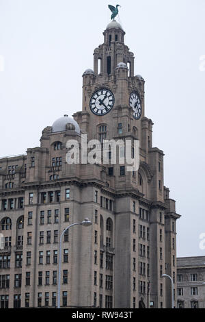 LIVERPOOL, ENGLAND - NOVEMBER 5, 2018: View of the Royal Liver Building on the waterfront. The mythical Liver Bird on the top is based on a cormorant Stock Photo