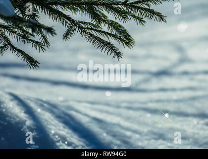 March snow glitters Stock Photo