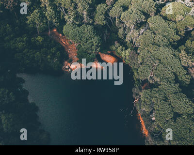 Aerial top view from a lake surrounded by trees Stock Photo