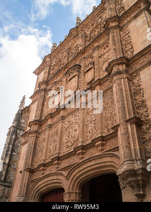 Detail of the stone carved facade above the doorway to the Esculeas Mayores of Salamanca University Stock Photo