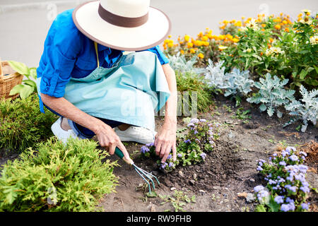 Female Gardener Planting Flowers Stock Photo