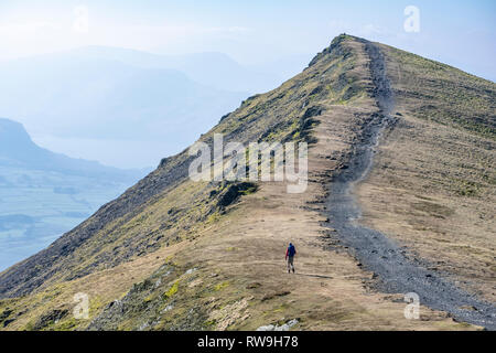 Lone walker on Blencathra summit ridge, Lake District mountain Stock Photo