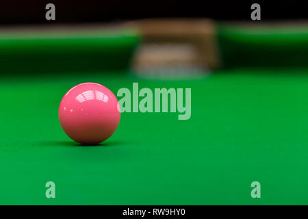 Pink snooker ball on green table background Stock Photo