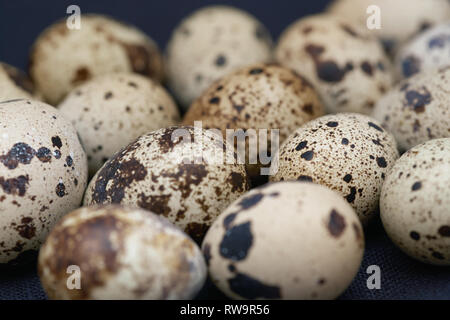 Close-up view on the Quail eggs Stock Photo