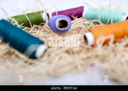 Colored sewing thread. Isolated on the white background. Stock Photo