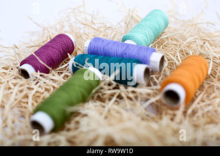 Multicolor thread on the rafi grass. Isolated on the white background. Stock Photo