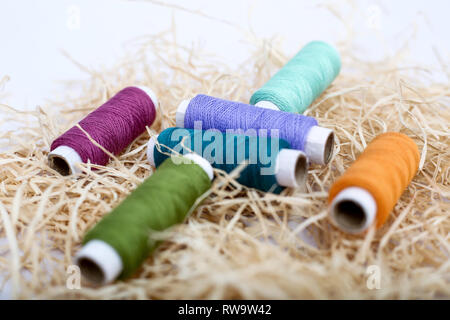 Multi Colored sewing thread on the rafi grass. Isolated on the white background. Stock Photo