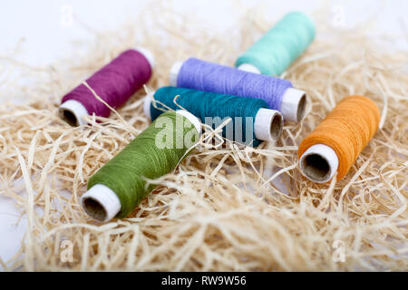 Multi Colored sewing thread on the rafi grass. Isolated on the white background. Stock Photo