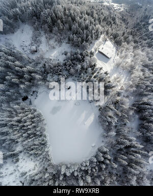 Aerial top down drone shot of a frozen winter lake and snow covered alpine forest.