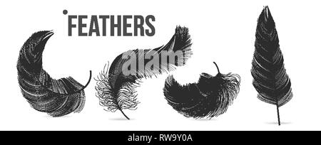 Black Feathers Set Vector. Different Falling Fluffy Twirled Feathers. Isolated Illustration Stock Vector