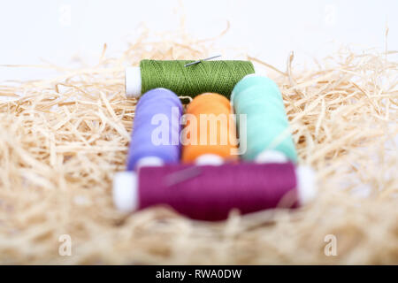 Spool of sewing thread with two needle on the rafi grass. Isolated on the white background. Stock Photo