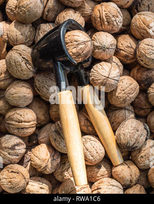 Nutcracker and lot of walnuts on table Stock Photo